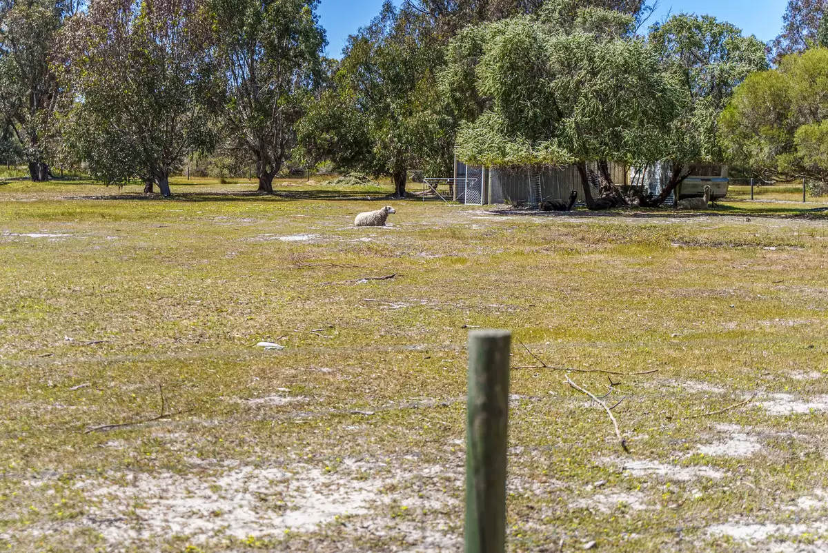 7 Pioneer Place, Birchmont For Sale by John Phillips Real Estate - image 1