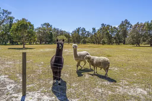 7 Pioneer Place, Birchmont For Sale by John Phillips Real Estate - image 27