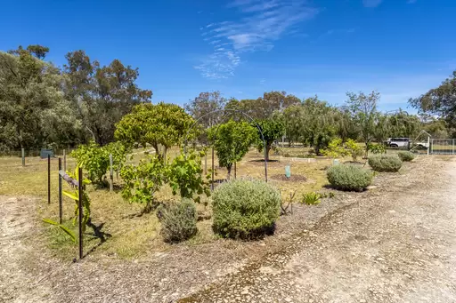 7 Pioneer Place, Birchmont For Sale by John Phillips Real Estate - image 29